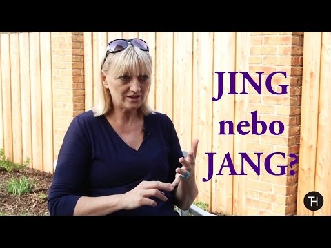 Jste JING nebo JANG?