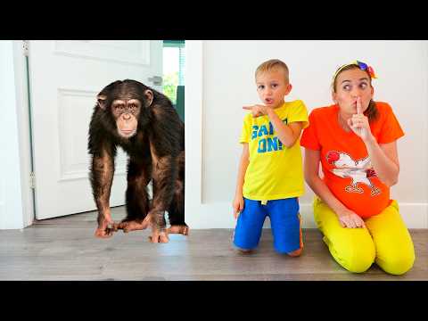 Vlad and Niki really want to have a pets - funny videos for kids
