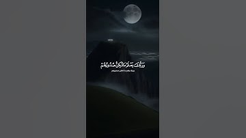 اكتب شيء تؤجر عليه ❤️😴| تلاوة هادئة وجميلة  جدا_قران كريم_القارئ ياسر الدوسري