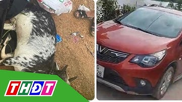 Hà Nội: Tước danh hiệu CAND 3 cán bộ bắn chết dê của người dân | THDT