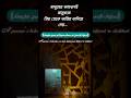মানুষের আচরণ মানুষকে প্রিয় থেকে অপ্রীয় বানিয়ে দেয়।| Deep Life Quote #shorts