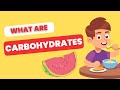 What are carbohydrates  what are its different types  ak educational world