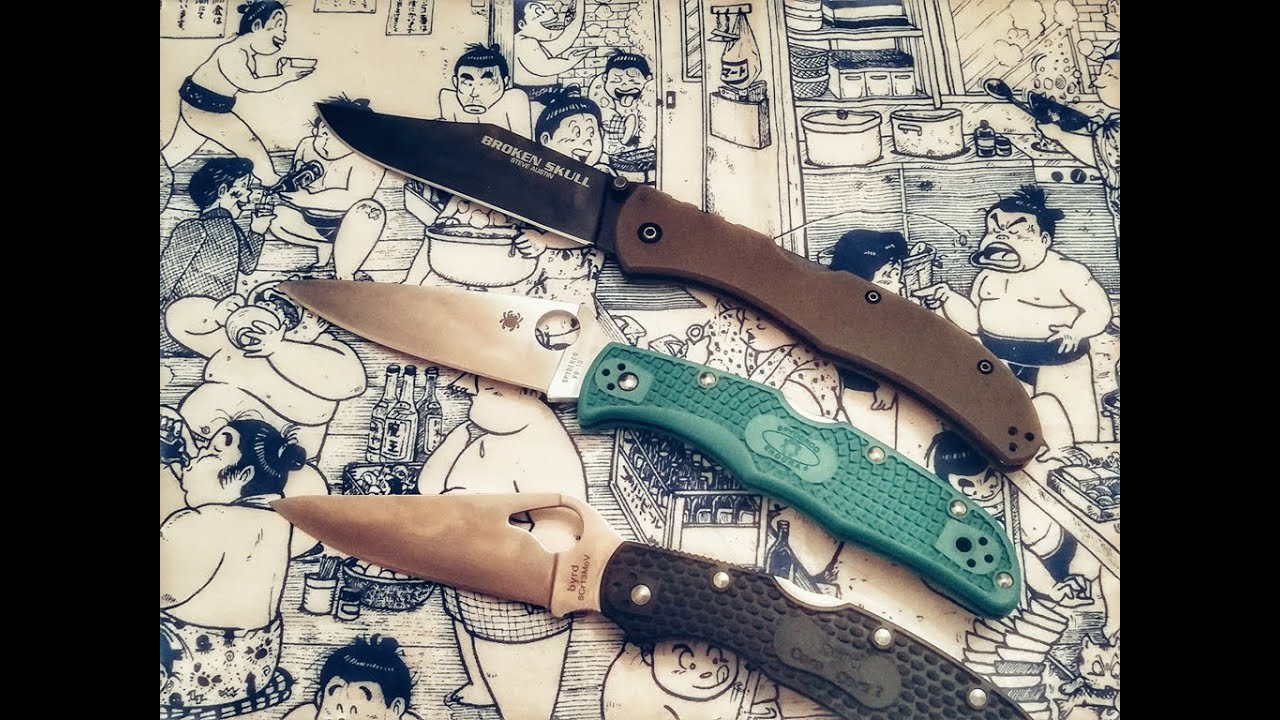 Что же выбрать? Cold Steel Broken Skull CTS-XHP , Spyderco Endura 4 VG-10 , Byrd Cara Cara 2