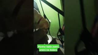 Download Lagu Shiro hai mama ka dulara #song #music #love #labrador MP3