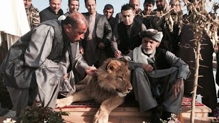 Hashmat karzai private zoo in Kandahar
