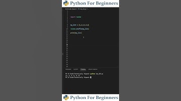 How To Shuffle A List | Python For Beginners