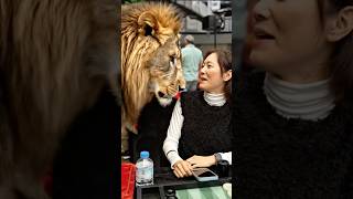 Akiko Yazawa 🇯🇵🎲#backgammon #tavla #tournament #shorts #sports