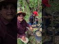 Asi es como se hace un  ingerto de vareta en una planta de cítrico 🍊🍋👨‍🌾🌳 
