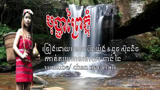 បុប្ផាព្រៃភ្នុំ