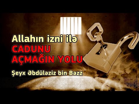 Video: Bir Sidr Ağacını Bir şamdan Necə Ayırmaq Olar? Gənc Fidanlar Arasındakı Fərq Nədir? İğnələr Və Ağacdakı Fərq