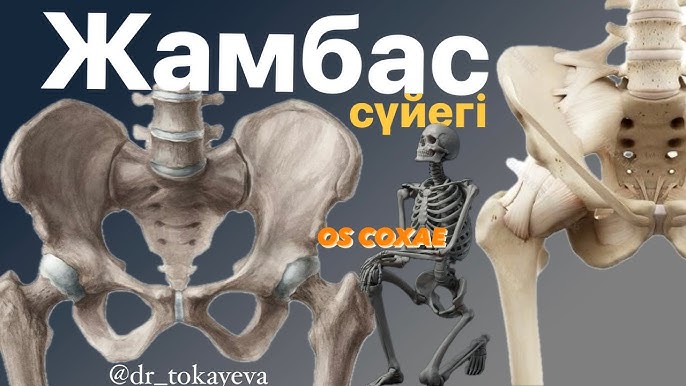 Қанды сиқыр бейне