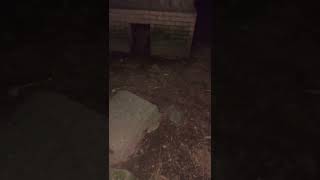 VID 20190324 204552920 mp4