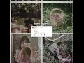 Srry for bad quality!🙂 #goviral #trend #1millionviews #ytgrowth #blackpink #viraldance #bts #udiudi