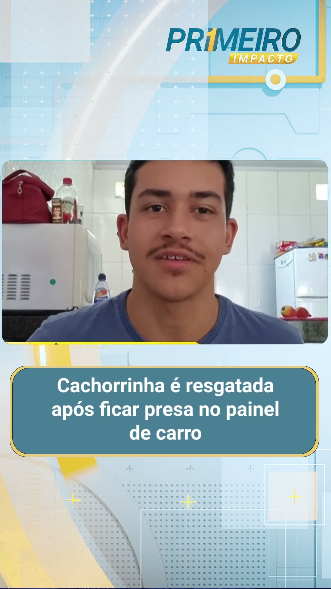 Cachorrinha é resgatada após ficar presa no painel de carro