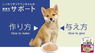 ビタワン 子犬の離乳食【日本ペットフード】_201911