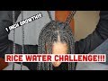 Rice Water Challenge| I tried rice water for 6 days!!!| 1 inch growth | Making a funnel out of foil