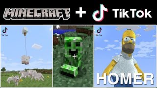 The Most Crazy & Cutest Tik Tok Minecraft Videos Compilation! (Part 12)