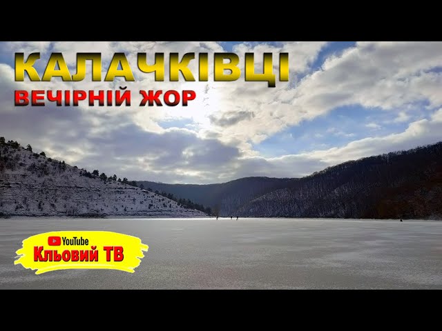 Калачківці. Вечірній жор
