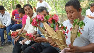 Ceremonia de la Semilla del Maíz - La Ceiba, Axtla S.L.P.