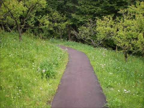 この道・山田耕筰／池辺晋一郎編曲アルト（MIDI）