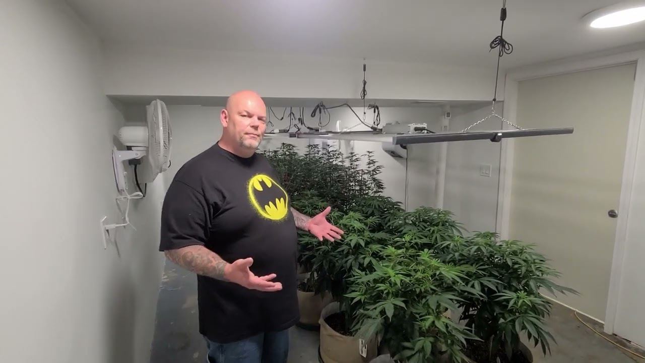 How to Run a Perpetual Grow!!!