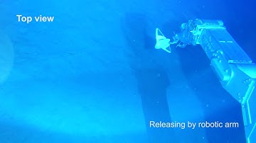 Chinese researchers develop soft robot for deep-sea exploration