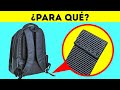 15 Datos Curiosos y Divertidos para Nunca Quedarte Sin Temas de Conversación