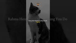 Download Lagu Mawaddah and Rahma | The two wedding presents! MP3