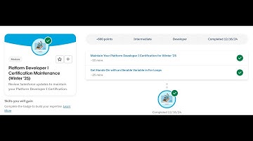 Platform Developer I Certification Maintenance (Winter 