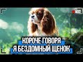 КОРОЧЕ ГОВОРЯ, Я БЕЗДОМНЫЙ ЩЕНОК [От первого лица] | КОРОЧЕ ГОВОРЯ, ИСТОРИЯ ОДНОЙ ЖИЗНИ