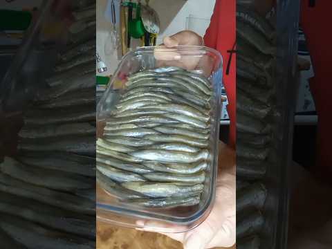 #шпроты из мойвы