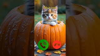 Download Lagu catcall #aicat #ringtone #ringtones #iphone #cat #shorts #catcalling #monkcall #monk #smartphone MP3