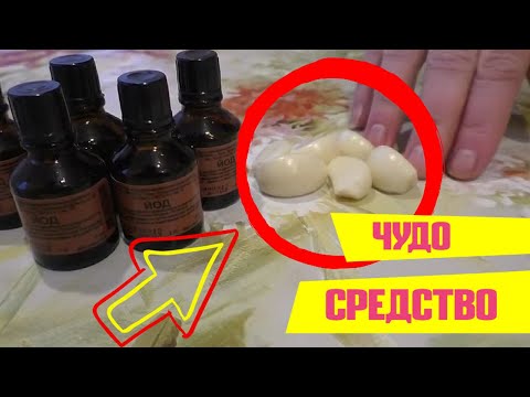 Чудотворная настойка, Йод и Чеснок