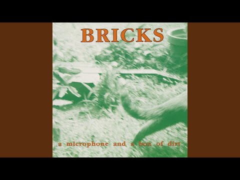 Bricks — History of Lies