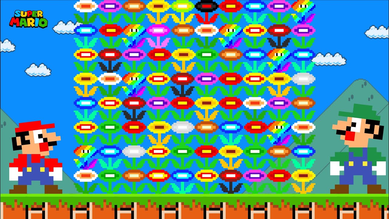 Can Mario and Luigi Collect 100 Custom Flower in New Super Mario Bros. Wii?