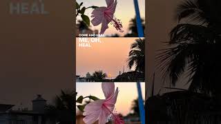 Beauty of the sunset 🌄 #sunset #nature #sun #reels #automobile #bestluxury #adhurikahani #duet #duo