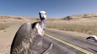Gas Guzzlers Extreme Intro & GamePlay HD PC