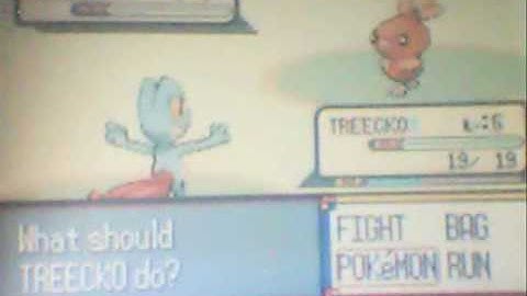 Shiny Treecko by Soft Reset in Sapphire Version.