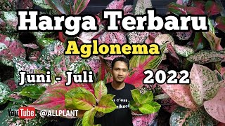 Daftar Harga Aglonema Terbaru | Juni - Juli 2022