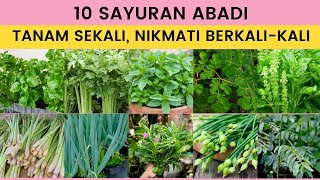 10 Sayuran Abadi – Tanam Sekali, Nikmati Berkali kali!
