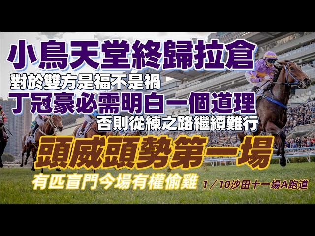 小鳥天堂終歸拉倉.對於雙方是福不是禍.丁冠豪必需明白一個道理.否則從練之路繼續難行.頭威頭勢第一場.有匹盲門今場有權偷雞.1/10沙田十一場A跑道.
