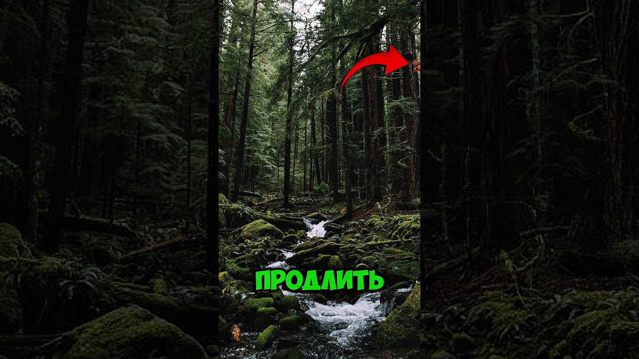 Вам удалось найти всех мишек ФРЕДИ?:)🙈🔥 