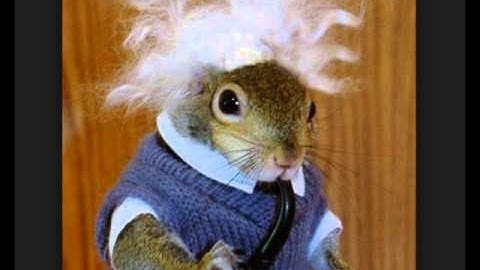 VGMaps - VGMaps owner Jon Leung is Unethical, in our opinion