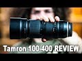 TAMRON 100-400 LENS REVIEW | GREAT for Sports, Wildlife, Nature & Photographers On A Budget
