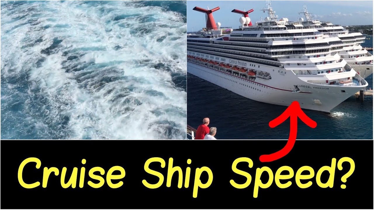 cruise speed meaning