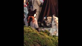 Download Lagu STA autumn with Stepan, Maciej and Slimso MP3