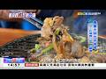 各式燒烤「京京」有味 胡同深處乍見「台味」《海峽拼經濟》