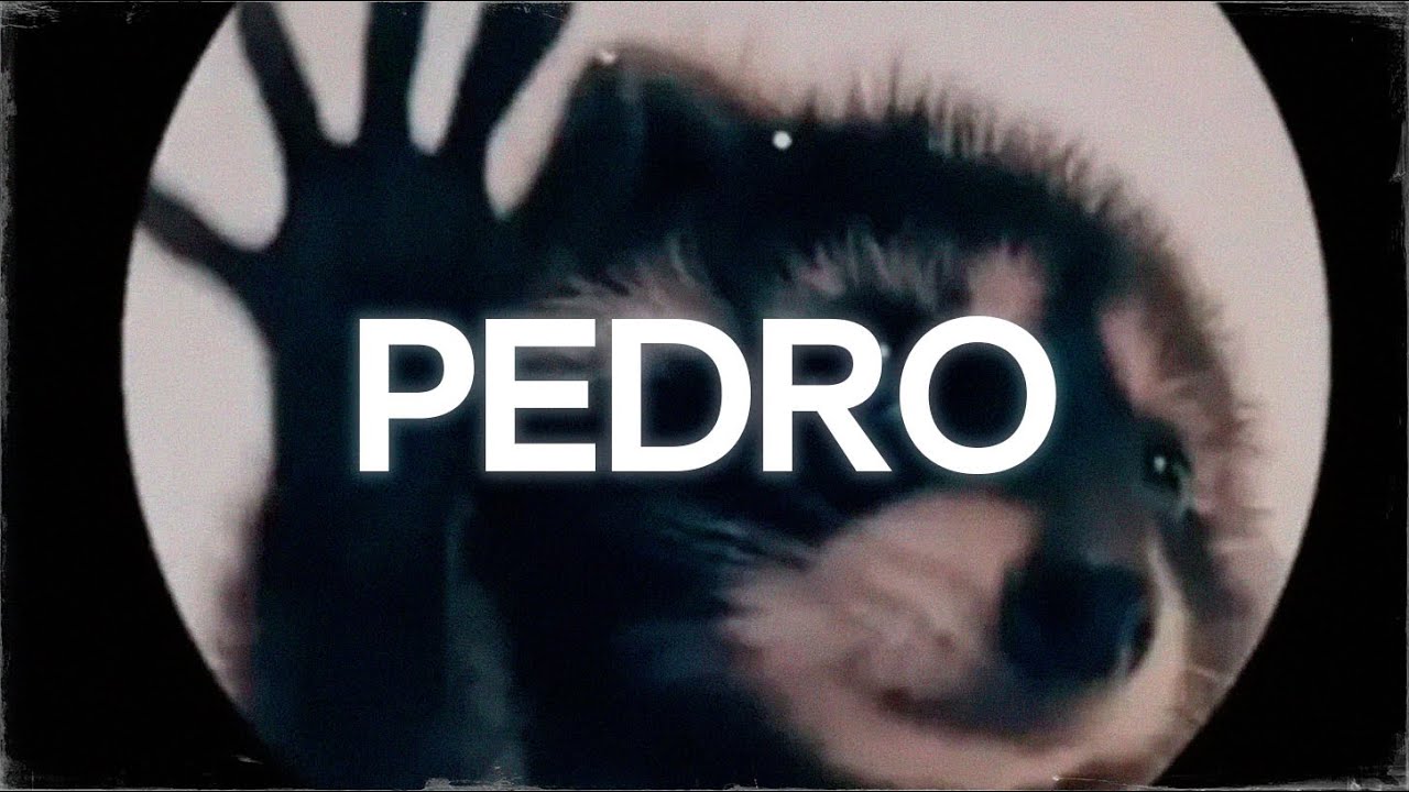 la canción de pedro || PEDRO - Raffaella Carrà, Jaxomy, Agatino Romero (Remix) [sub. español]