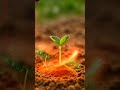 Magical Transformation ✨#shorts#magicaltransformation#visualfantasy#ai#aivideo