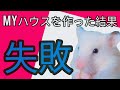 【最後まで見て頂きたい】ティッシュを家に詰めすぎた結果…入れなくなったハムスターがとった行動が可愛すぎる！
